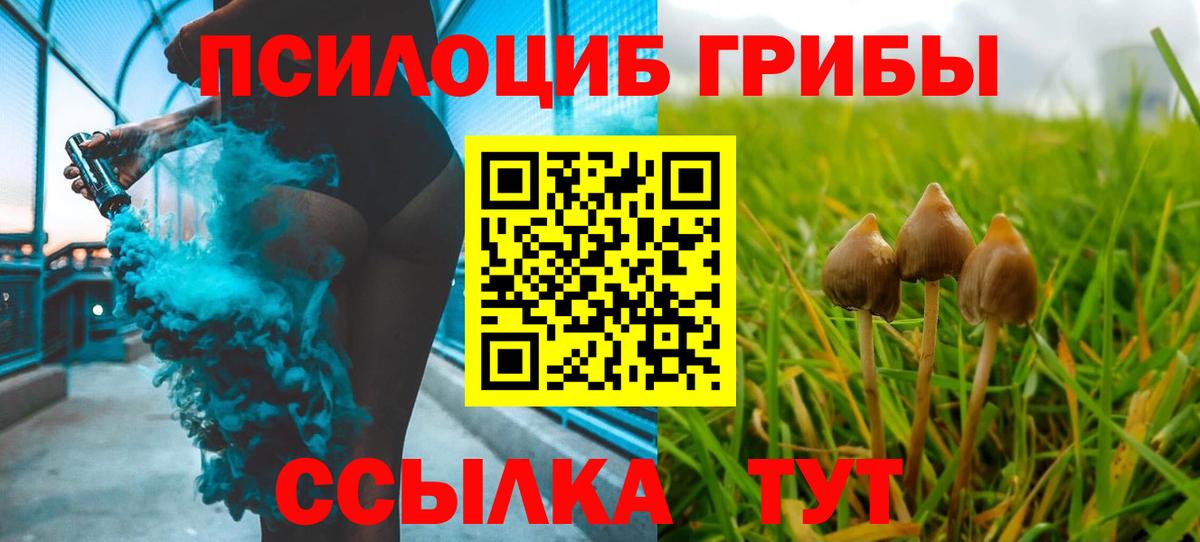 цены   Вход с VPN  Галлюциногенные грибы GOLDEN TEACHER  Набережные Челны  Галлюциногенные грибы прущие грибы 